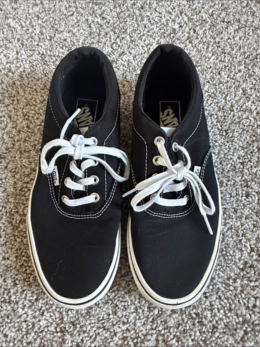 Vans Black Canvas Low-Top Sneakers with White Laces